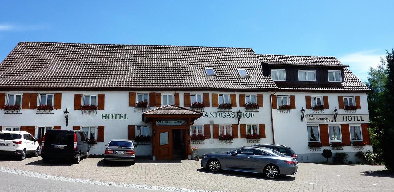 Hotel Landgasthof Gruener Baum Hochdorf  Exteriér fotografie